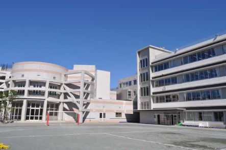 小学校　世田谷区立太子堂小学校（小学校）まで544m