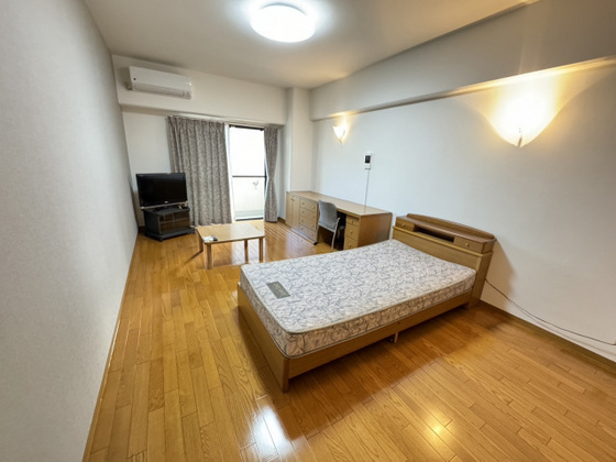 居室・リビング　※別部屋の写真です