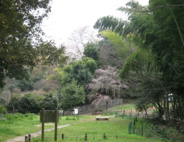 公園　たちばなふれあいの森（公園）まで1268m