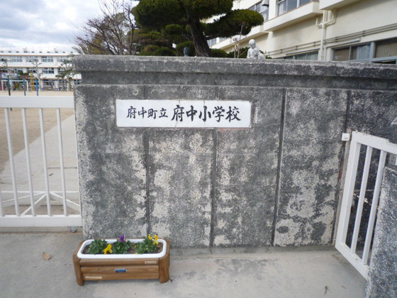 小学校　府中町立府中小学校（小学校）まで884m