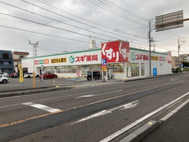 ドラックストア　スギ薬局岐阜城東店（ドラッグストア）まで546m