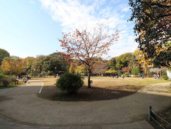 公園　白金台どんぐり児童遊園（公園）まで550m