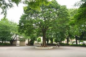 公園　上り屋敷公園（公園）まで730m
