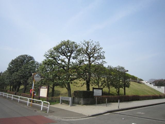 公園　神代水生植物園（公園）まで500m