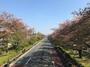 その他　大学通り（その他）まで861m