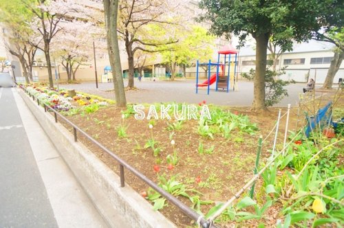 公園　芦穂崎公園（公園）まで524m