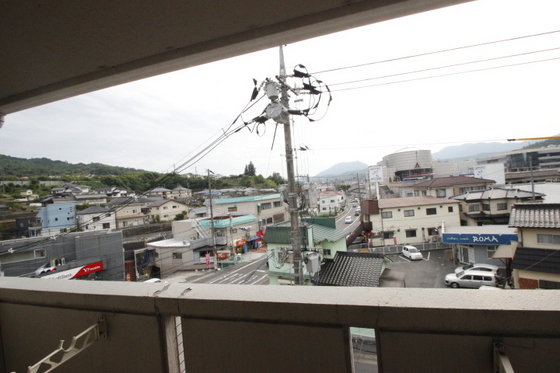 眺望　※別部屋の写真です