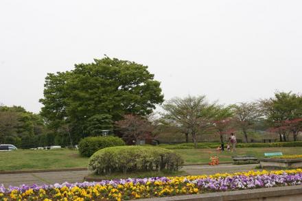 公園　松戸運動公園（公園）まで1395m