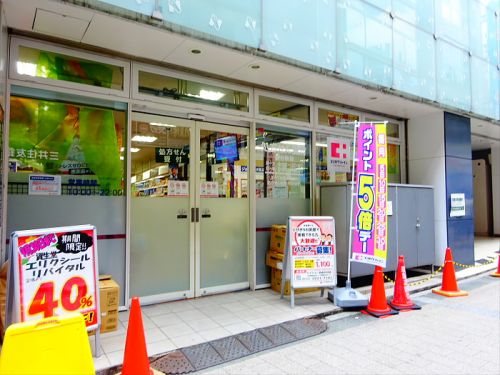 その他　【ドラッグストア】セイジョー自由が丘店まで966ｍ
