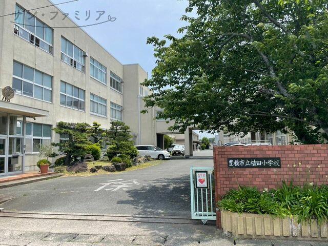 小学校　豊橋市立植田小学校（小学校）まで662m