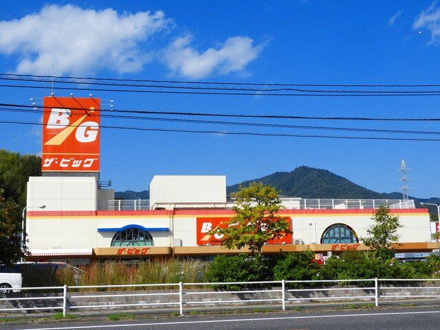 スーパー　ザ・ビッグ（スーパー）まで350m
