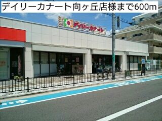スーパー　デイリーカナート向ヶ丘店様（スーパー）まで600m