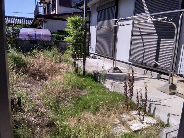 庭