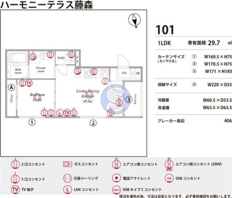 庭