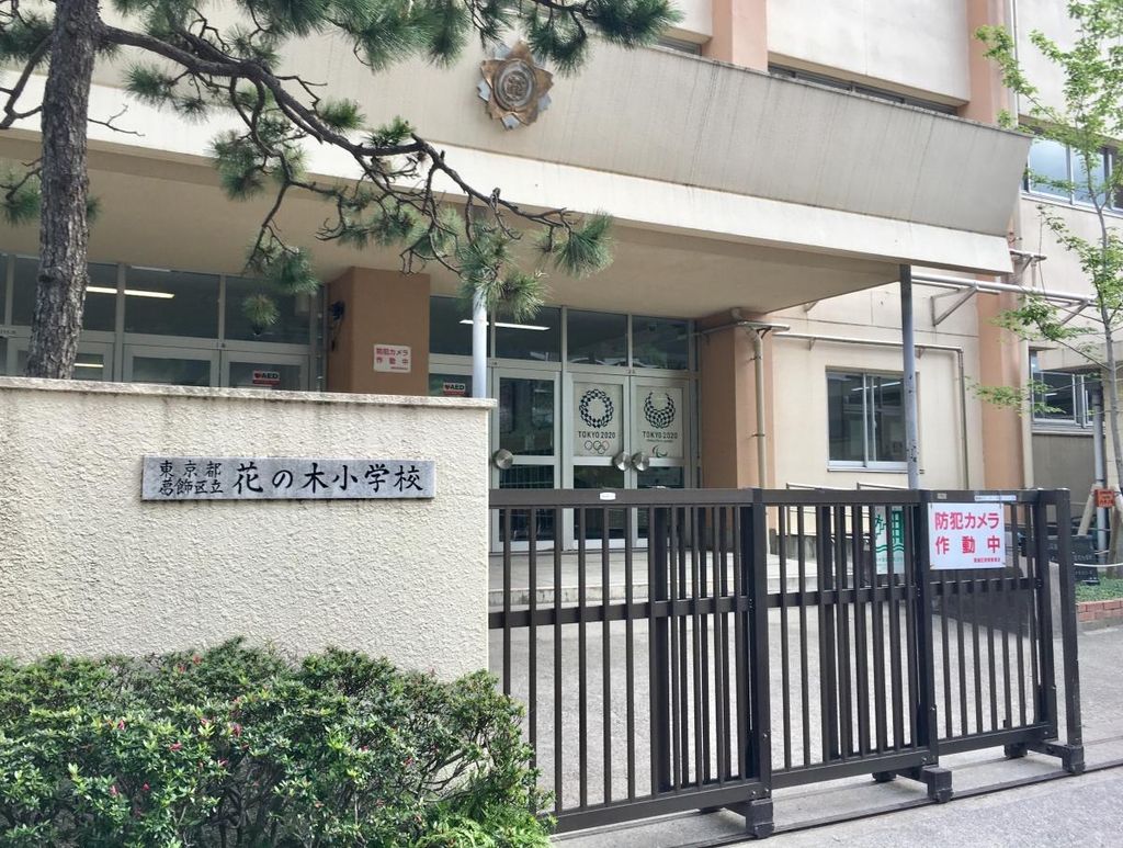 小学校　葛飾区立花の木小学校（小学校）まで720m