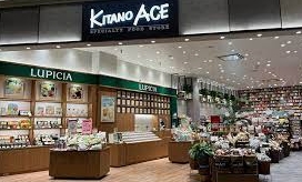 スーパー　北野エース mozoワンダーシティ店（スーパー）まで518m