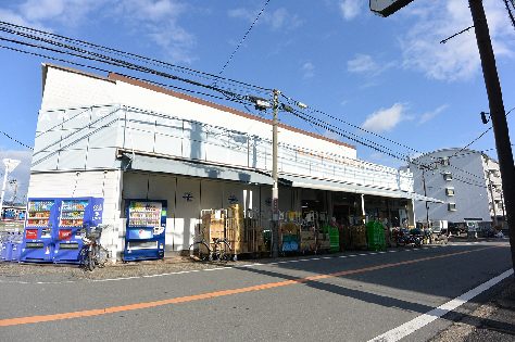 スーパー　スーパーストアナカガワ 樟葉店（スーパー）まで238m
