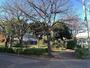 公園　本一色三丁目公園（公園）まで541m