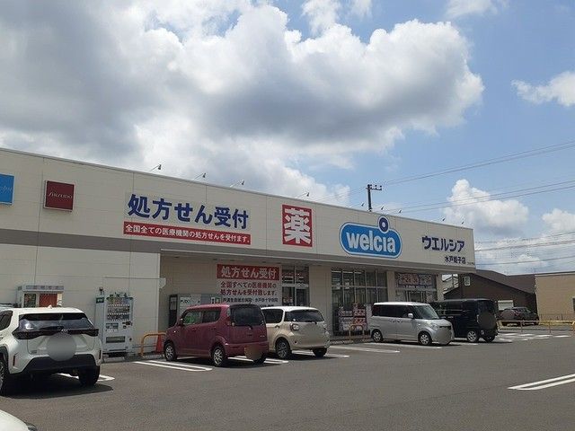 ドラックストア　ウエルシア　姫子店（ドラッグストア）まで1700m