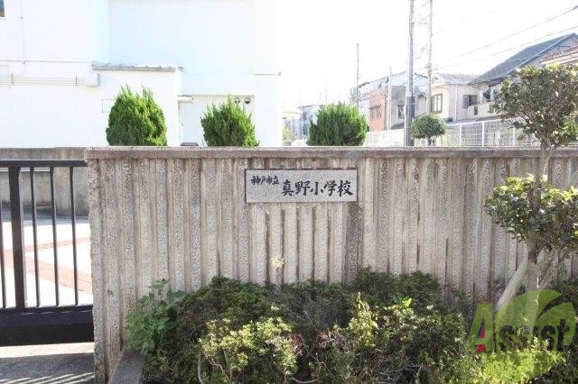 小学校　神戸市立真野小学校（小学校）まで279m