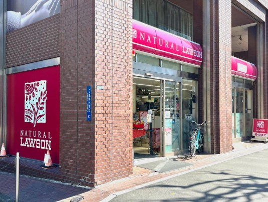 コンビニ　ナチュラルローソン乃木坂店（コンビニ）まで161m