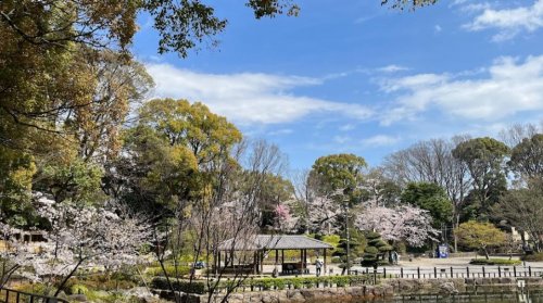 公園　戸越公園（公園）まで481m