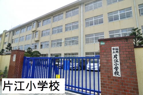小学校　片江小学校（小学校）まで978m