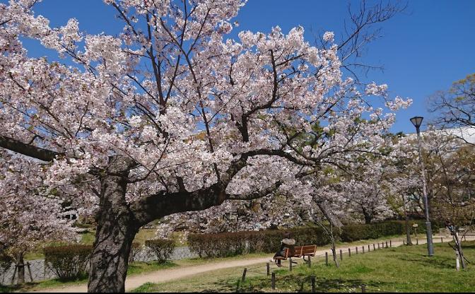 公園　川添公園（公園）まで1776m