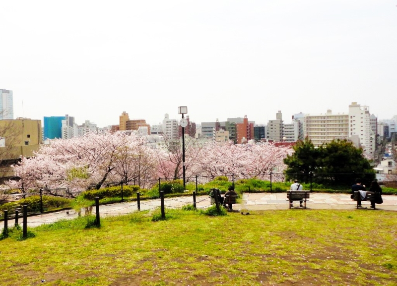 公園　西郷山公園（公園）まで850m