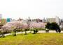 公園　西郷山公園（公園）まで850m
