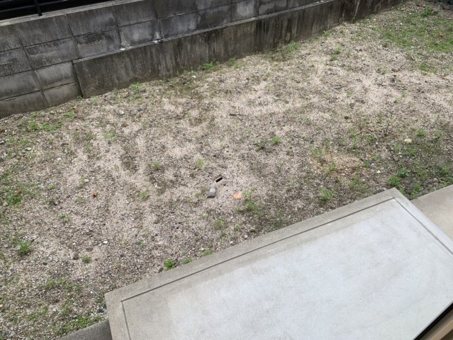 庭