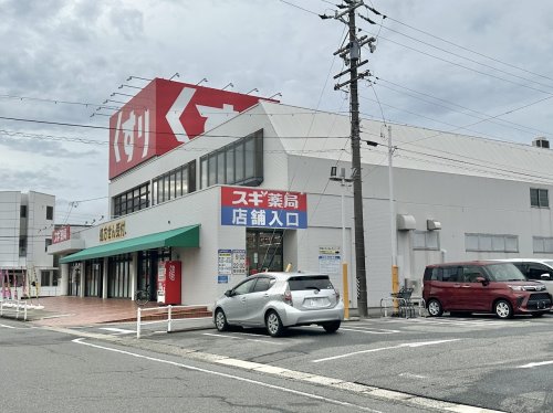 ドラックストア　スギ薬局名和店（ドラッグストア）まで892m