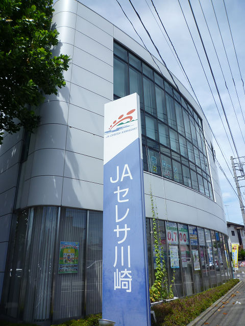 銀行　JAセレサ川崎日吉支店（銀行）まで468m