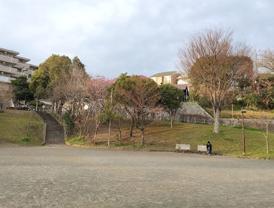 公園　峰岡町三丁目公園（公園）まで502m
