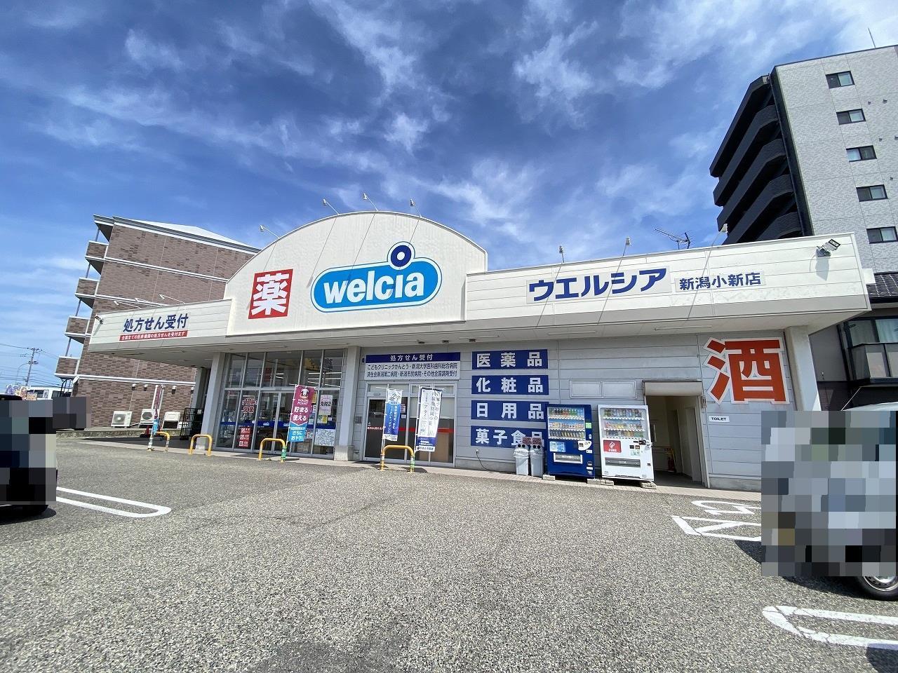 ドラックストア　ウエルシア新潟小新店（ドラッグストア）まで994m
