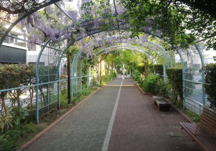 公園　大島緑道公園（公園）まで559m