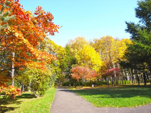 公園　豊平公園（公園）まで696m