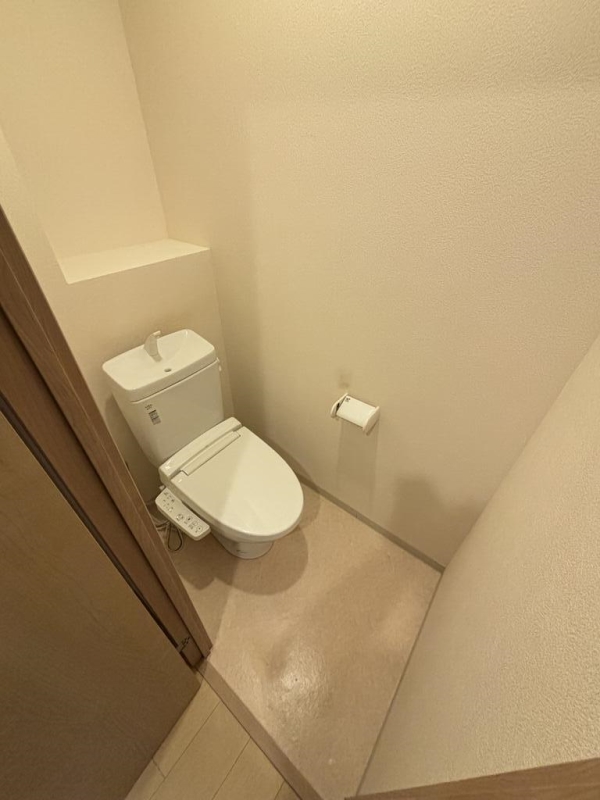 ＪＲ大阪環状線 桃谷駅 徒歩17分 6階建 築11年のトイレ写真