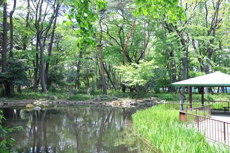 公園　塚山公園（公園）まで877m