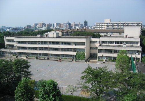 小学校　赤塚新町小学校（小学校）まで966m