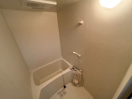 バス・シャワールーム　※別部屋の写真です