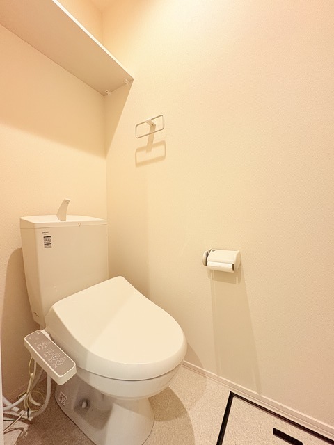 多摩都市モノレール 大塚・帝京大学駅 徒歩6分 2階建 築8年のトイレ写真