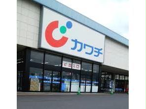 ドラックストア　カワチ薬品渋川店（ドラッグストア）まで1194m