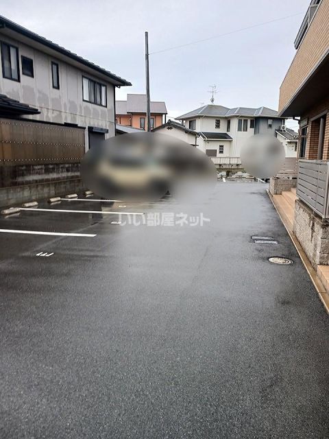 ラグドール Bのその他写真