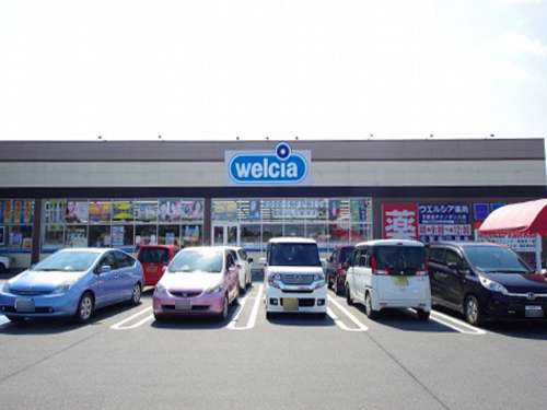 ドラックストア　ウエルシア宇都宮テクノポリス店（ドラッグストア）まで598m