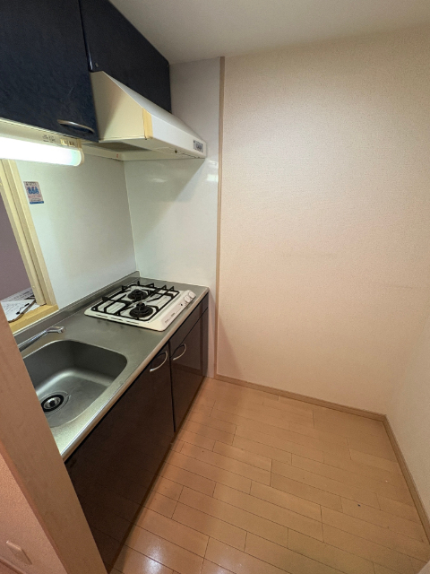 エイペックス上本町のキッチン写真