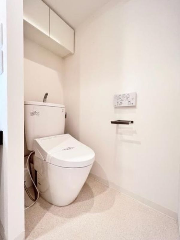 Brillia ist 北沢ケヤキのトイレ写真