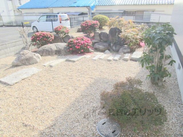 庭　植栽