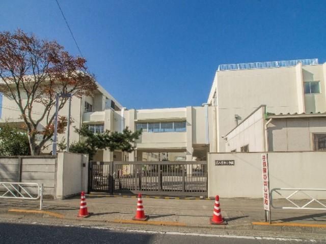 小学校　調布市立八雲台小学校（小学校）まで914m