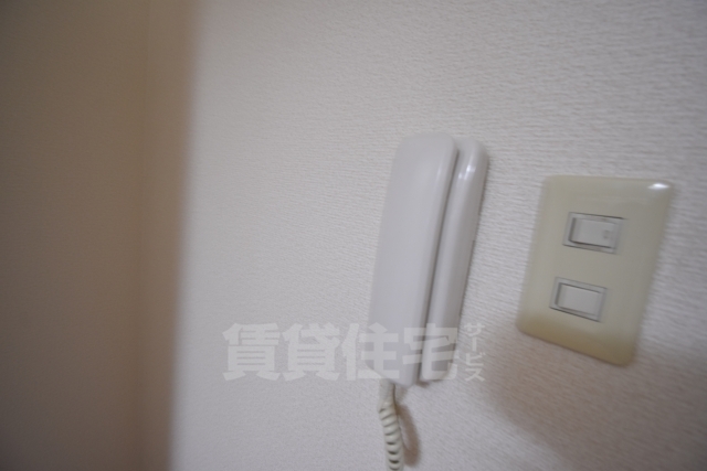プロキシーヨークのその他写真